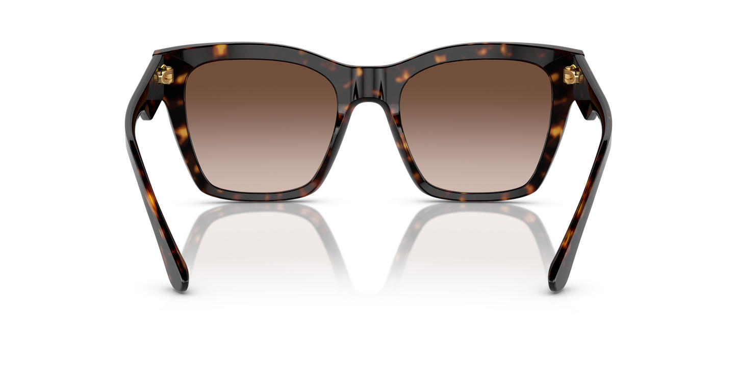 Designer frames