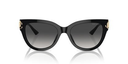 Designer frames