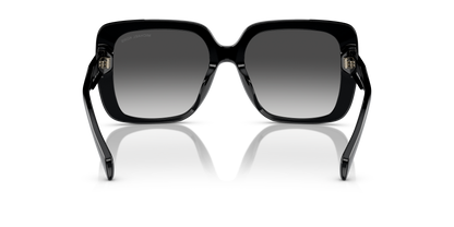 Designer frames