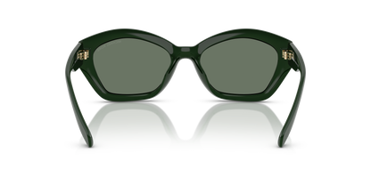 Designer frames