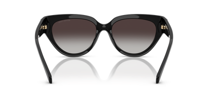 Designer frames