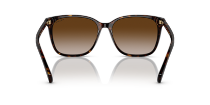 Designer frames