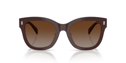Designer frames