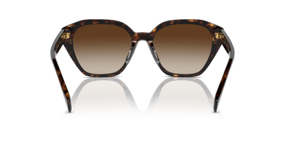 Designer frames