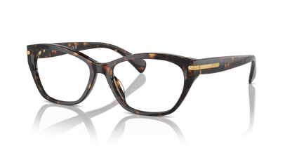Designer frames