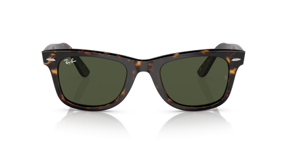Designer frames