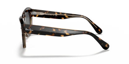 Designer frames