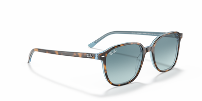Designer frames