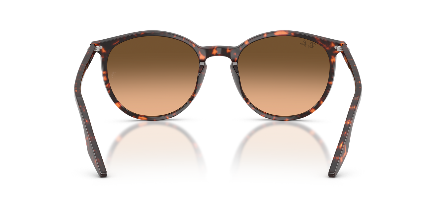 Designer frames