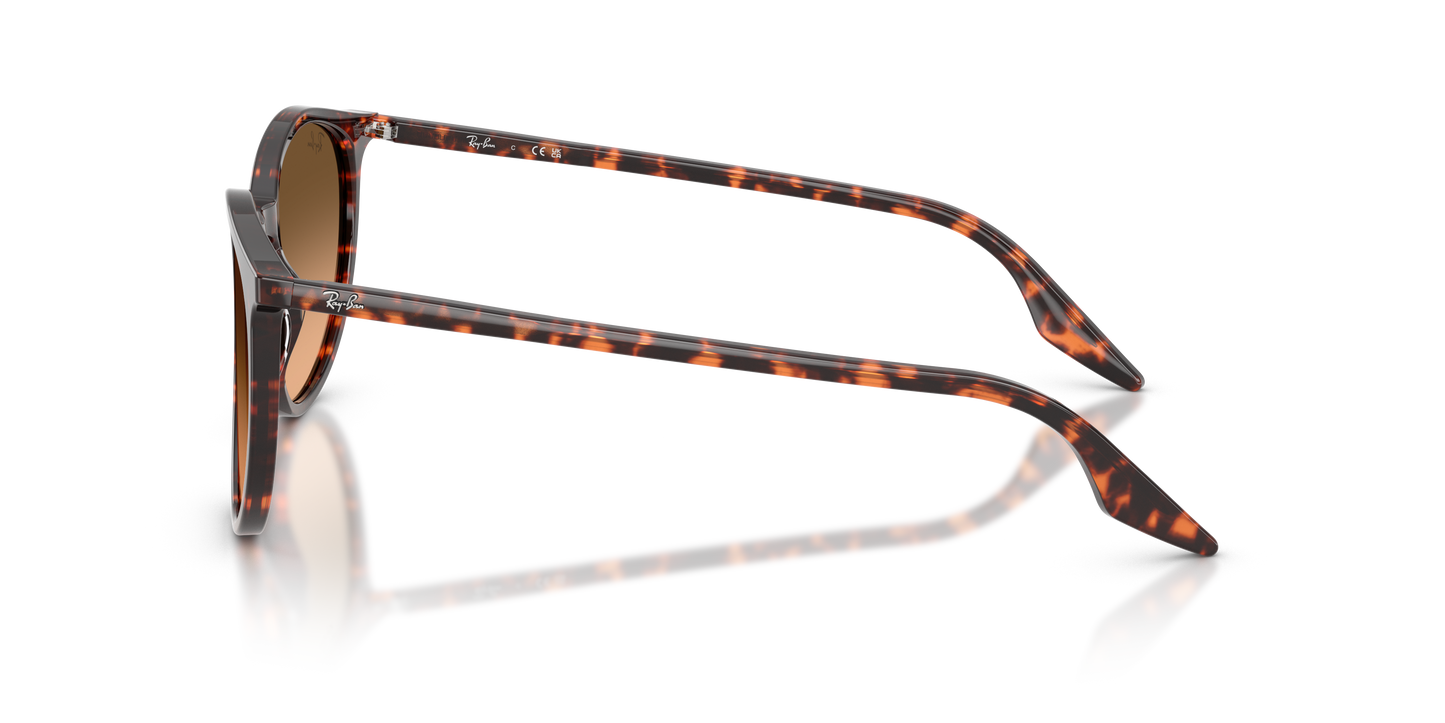 Designer frames