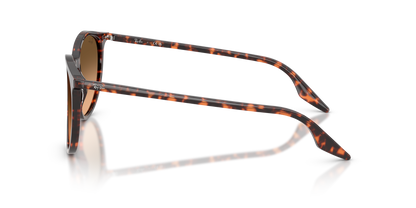 Designer frames