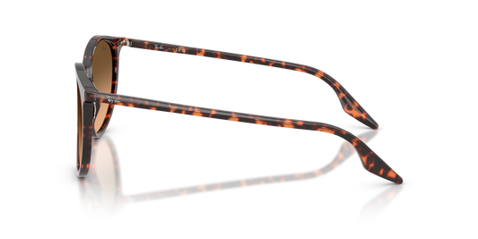 Designer frames