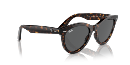 Designer frames