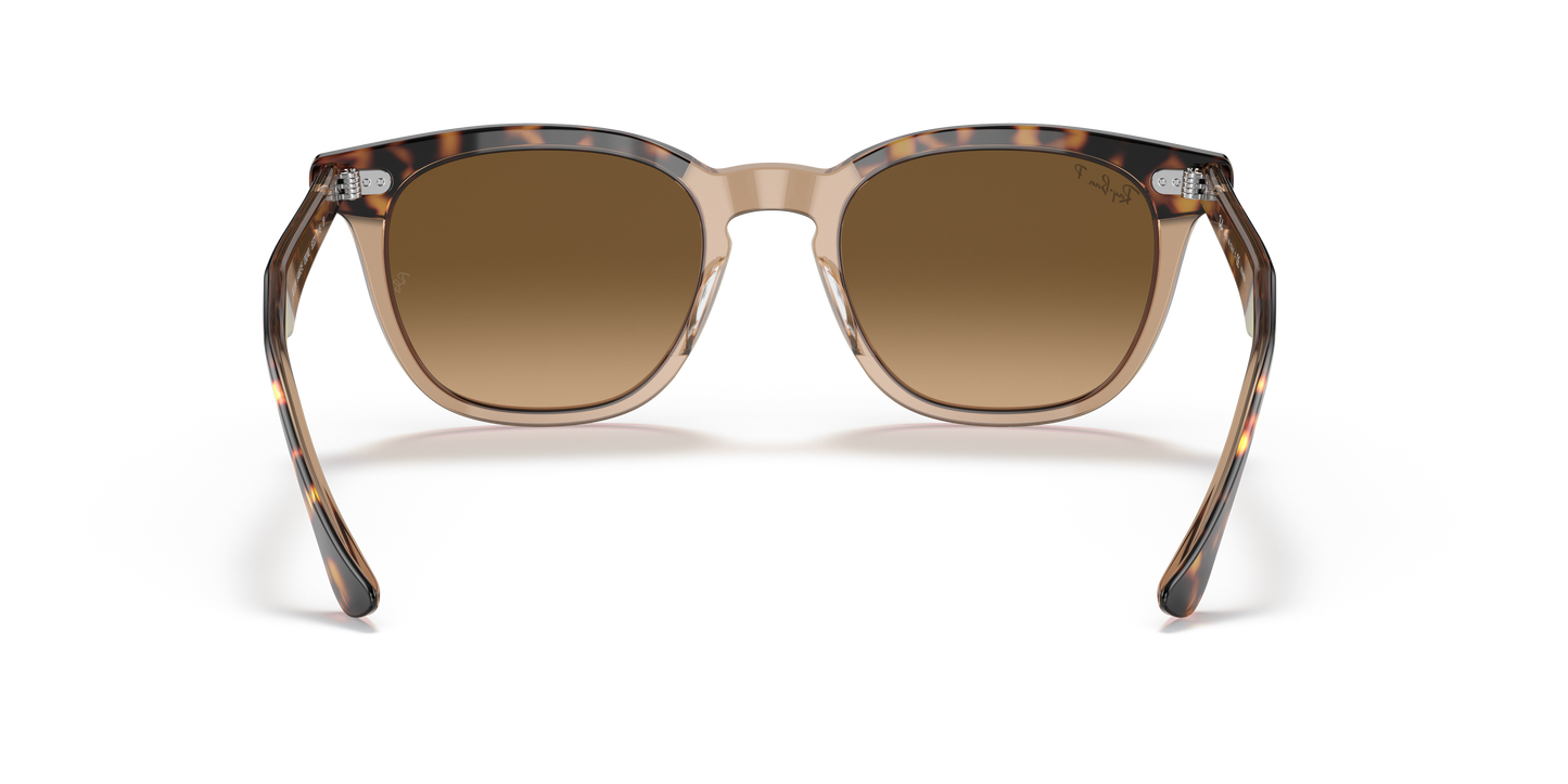 Designer frames