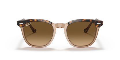 Designer frames