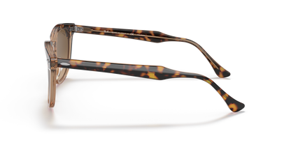 Designer frames