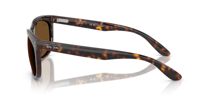 Designer frames