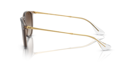 Designer frames
