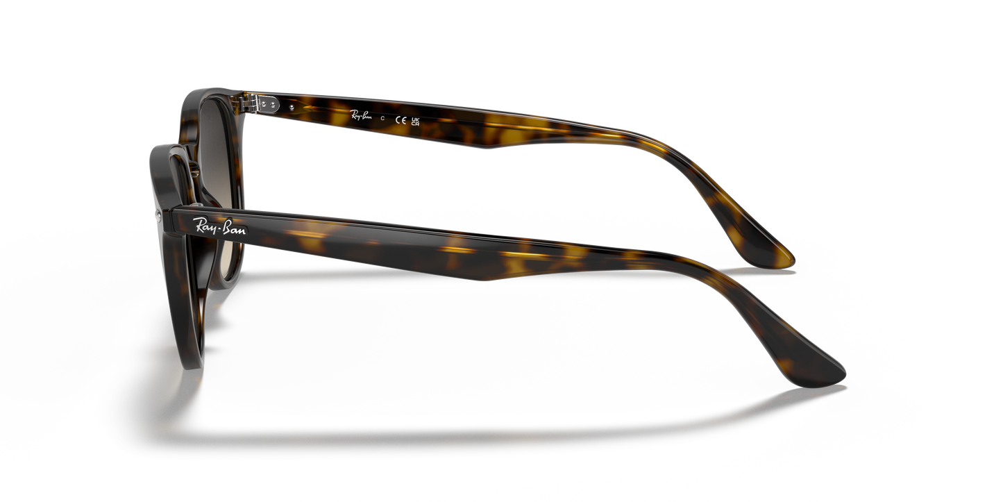 Designer frames