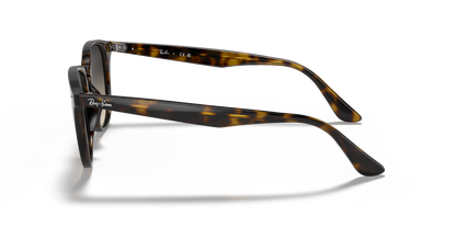 Designer frames