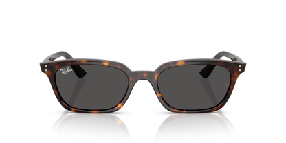 Designer frames