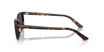Designer frames