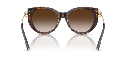 Designer frames