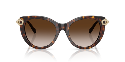 Designer frames
