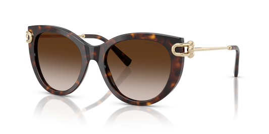 Designer frames