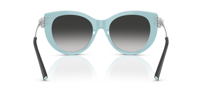 Designer frames