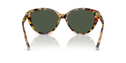 Designer frames
